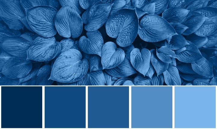 Nuance couleur peinture bleu nuit