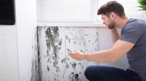 Devis peinture dégât des eaux en Essonne 91